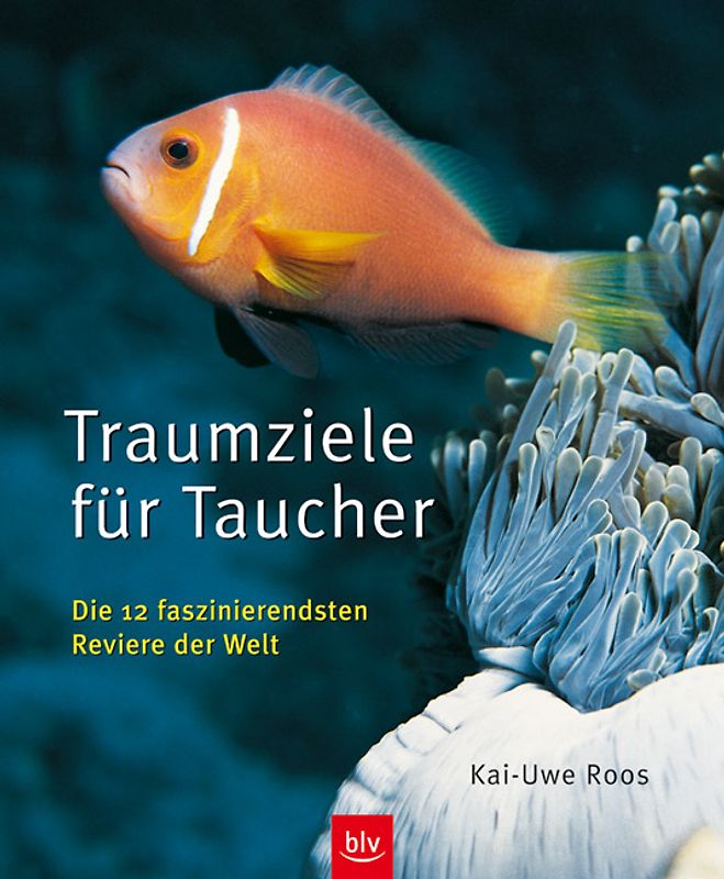 Traumziele für Taucher