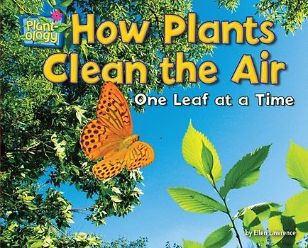 How Plants Clean the Air