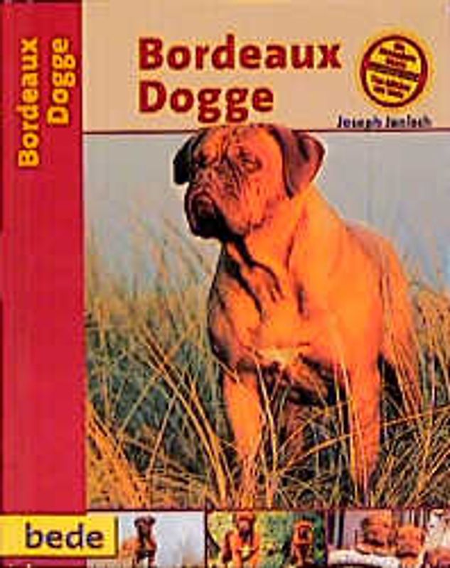 Praxisratgeber Bordeaux Dogge
