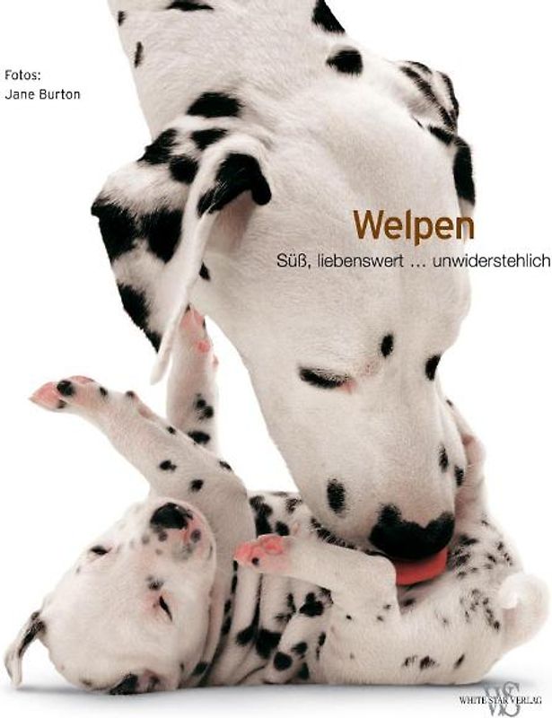Welpen