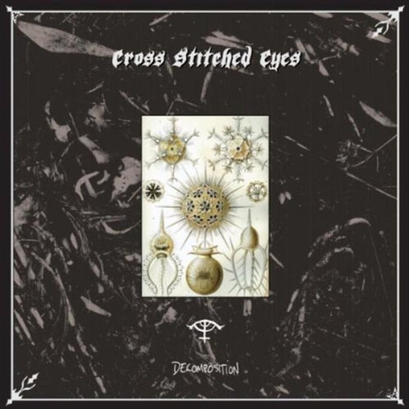 Cross Stitched Eyes - Decomposition