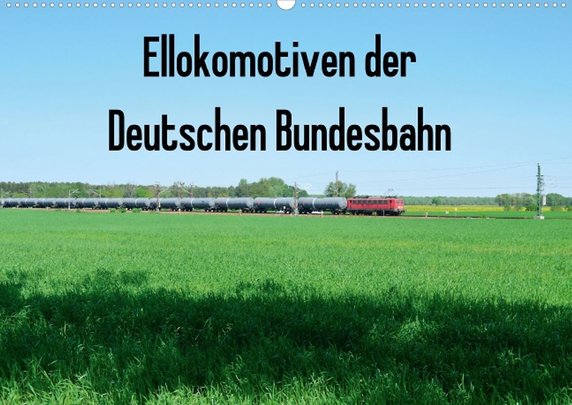 Ellokomotiven der Deutschen Bundesbahn (Posterbuch DIN A4 quer)