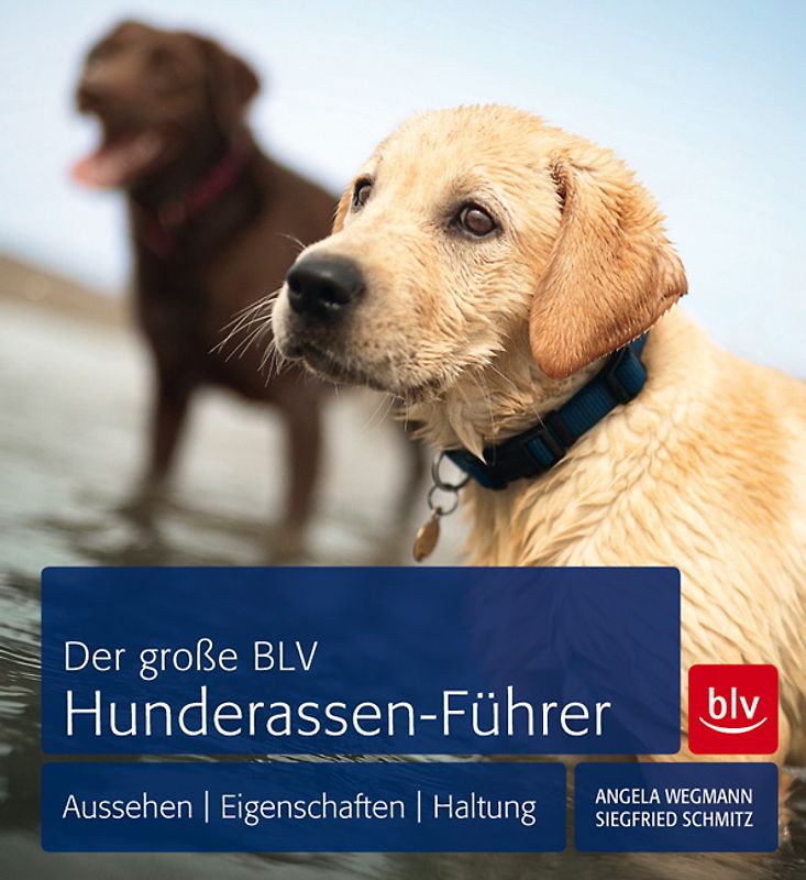 Der große BLV Hunderassen-Führer
