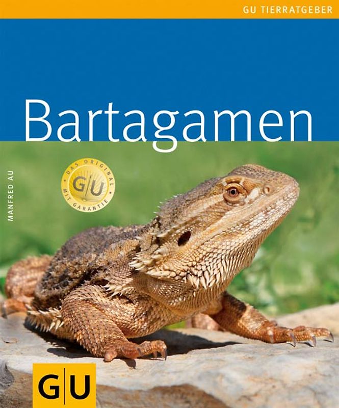 Bartagamen