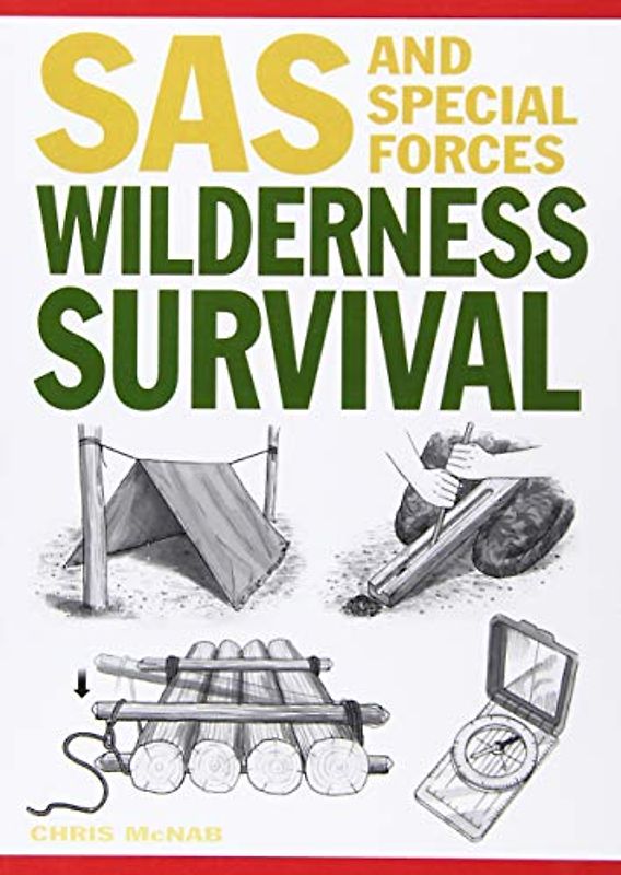 Wilderness Survival (SAS and Elite Forces Guide)