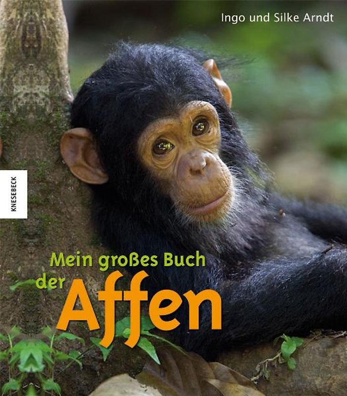 Mein großes Buch der Affen