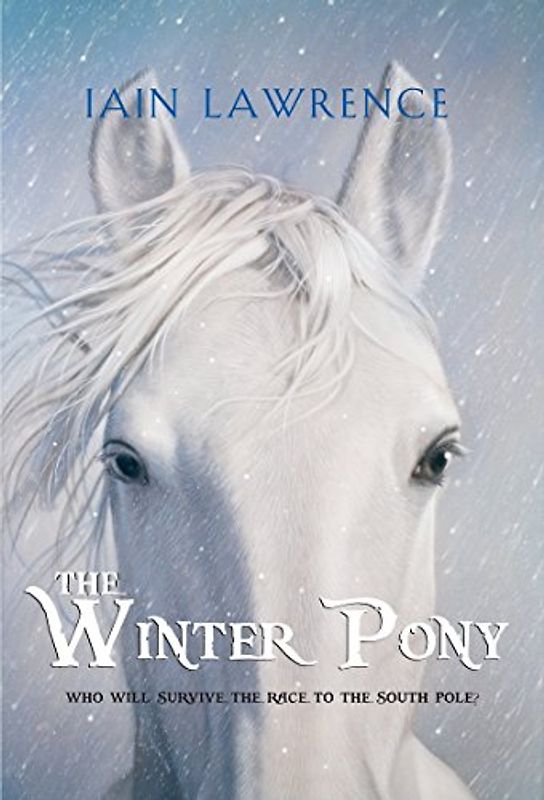 The Winter Pony