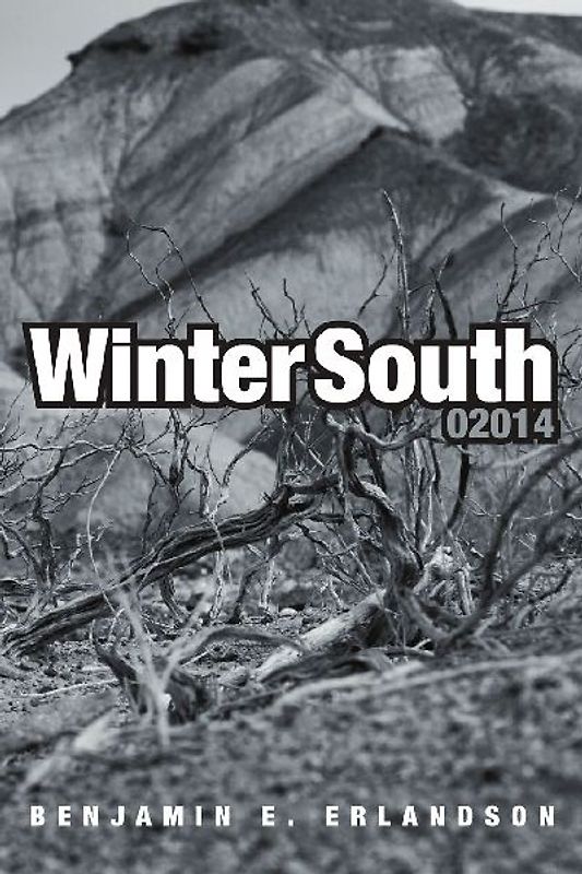 Winter South 02014