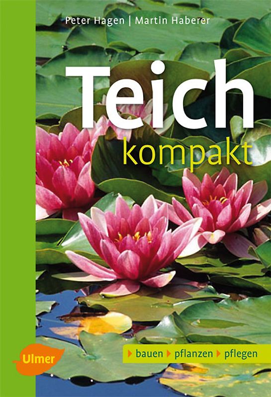 Teich kompakt