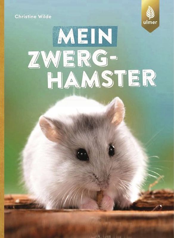 Mein Zwerghamster