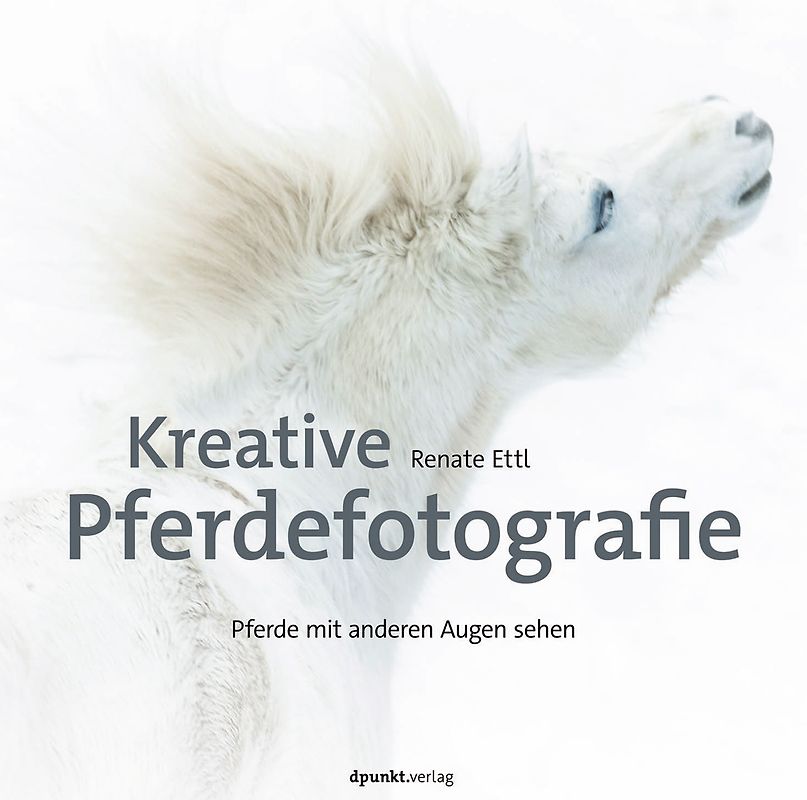 Kreative Pferdefotografie