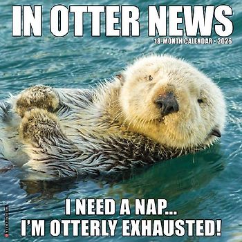 In Otter News 2026 12 X 12 Wall Calendar
