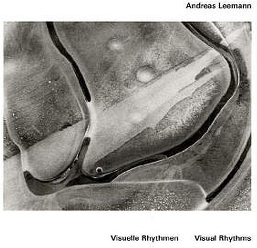 Visuelle Rhythmen / Visual Rhythms