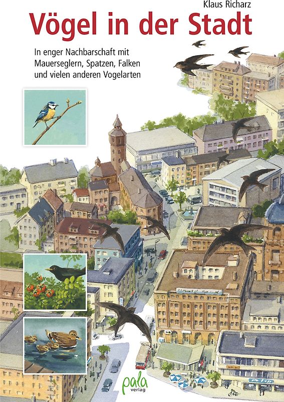 Vögel in der Stadt