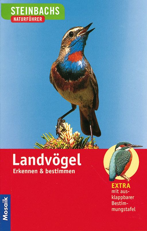 Landvögel