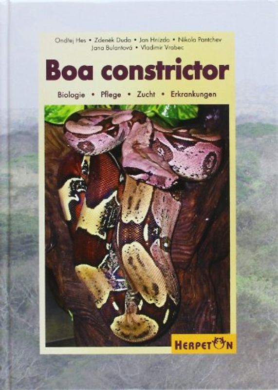Boa constrictor