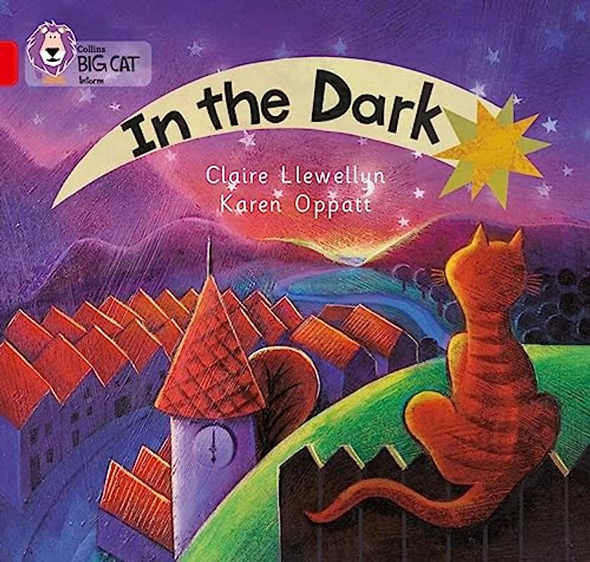 In the Dark: A patterned non-fiction text with atmospheric illustrations to show what happens in the dark. (Collins Big Cat)