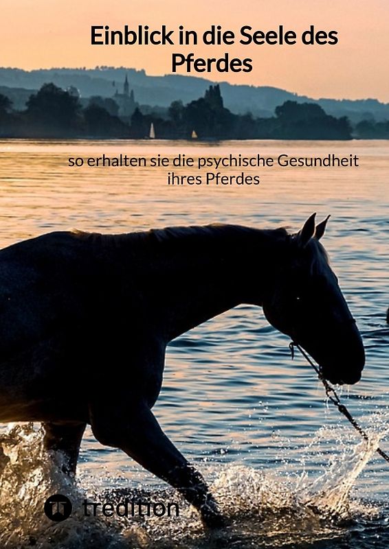Einblick in die Seele des Pferdes – so erhalten sie die psychische Gesundheit ihres Pferdes