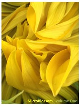 MicroBlossom: Frog Eagle Farms Photographic Journals: Volume One