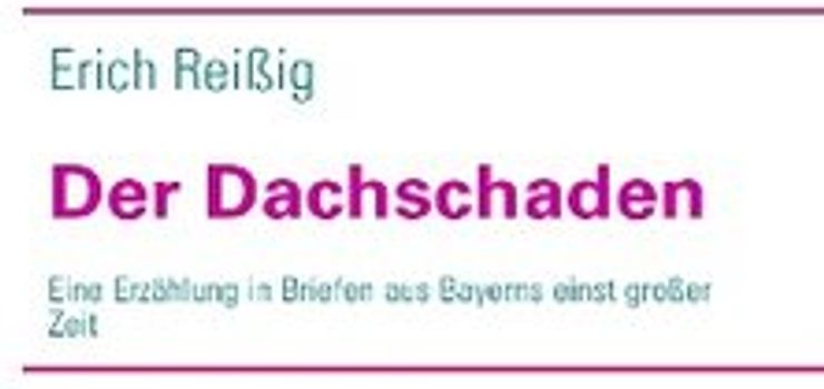 Der Dachschaden