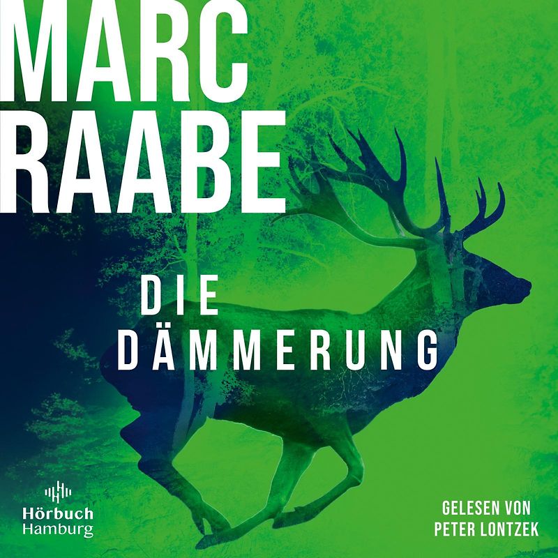 Die Dämmerung (Art Mayer-Serie 2)