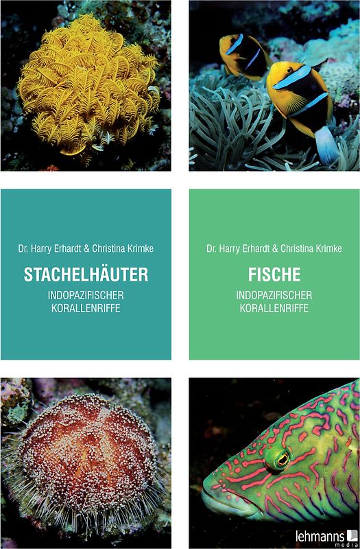 Stachelhäuter/Fische indopazifischer Korallenriffe