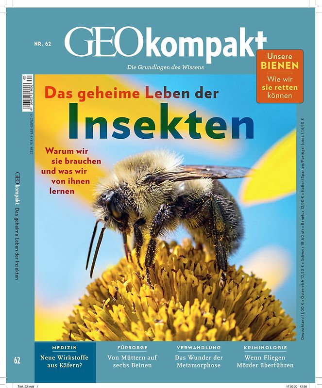 GEOkompakt / GEOkompakt mit DVD 62/2020 - Das geheime Leben der Insekten