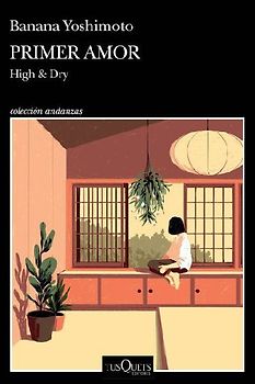 Primer Amor (Novela) / High and Dry (a Novel)