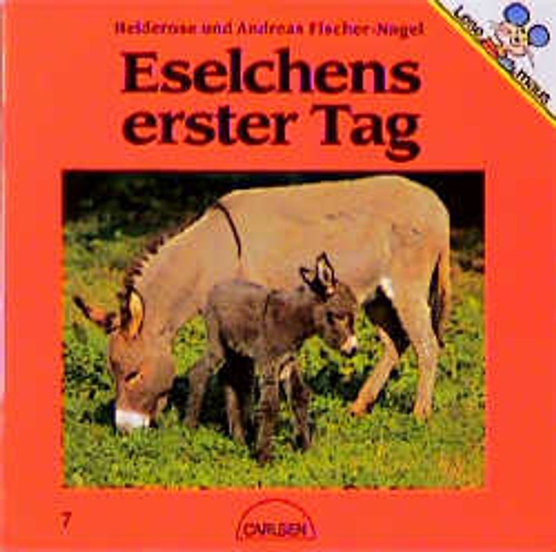 Eselchens erster Tag