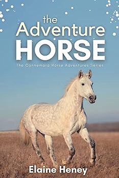 The Adventure Horse - Book 5 in the Connemara Horse Adventure Series for Kids | The Perfect Gift for Children age 8-12 (Connemara Adventures, Band 5)