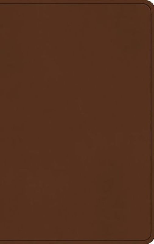 ESV Large Print Value Thinline Bible (Trutone, Camel)