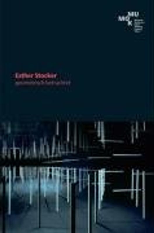 Esther Stocker. geometrisch betrachtet