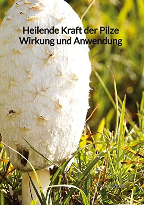 Heilende Kraft der Pilze Wirkung und Anwendung