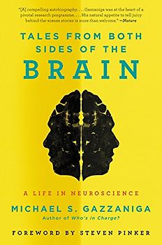 Tales from Both Sides of the Brain: A Life in Neuroscience