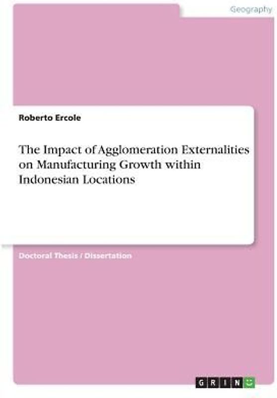The Impact of Agglomeration Externalities on Manufacturing Growth within Indonesian Locations