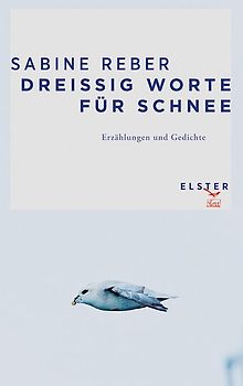 Dreißig Worte für Schnee