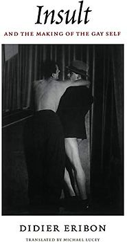 Insult and the Making of the Gay Self (Series Q)