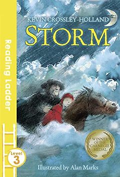 Storm (Reading Ladder Level 3)