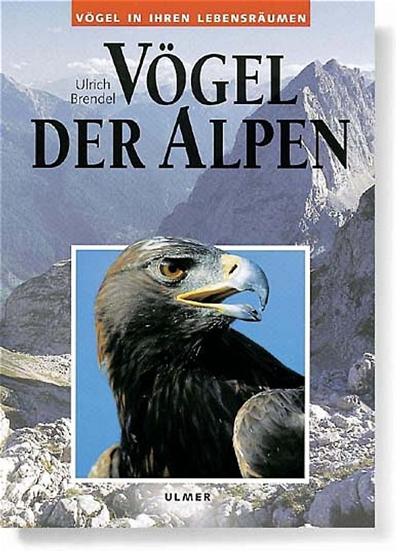 Vögel der Alpen