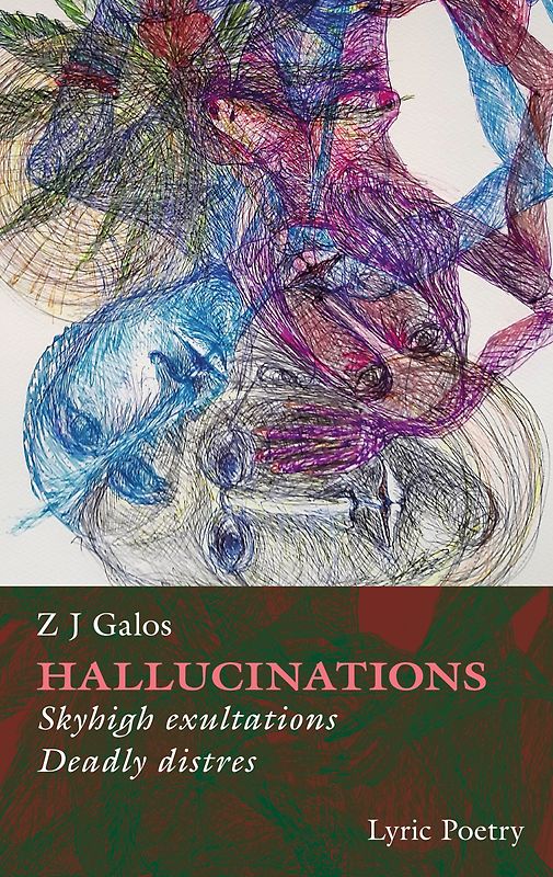 Hallucinations