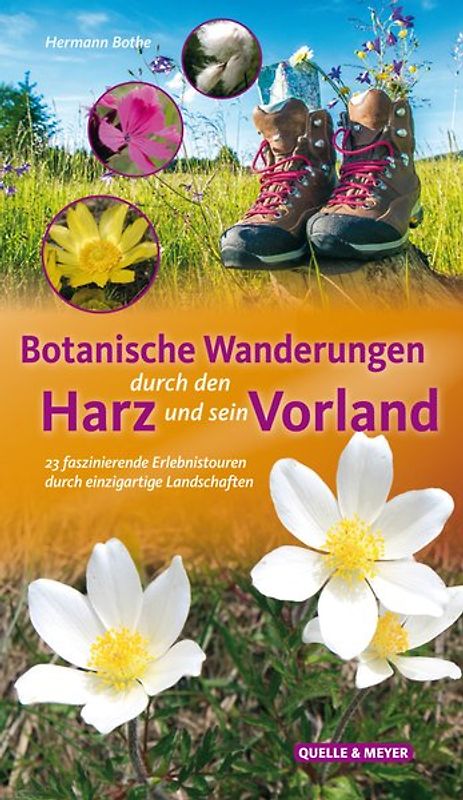 Botanische Wanderungen durch den Harz und sein Vorland