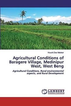 Agricultural Conditions of Baragere Village, Medinipur West, West Beng