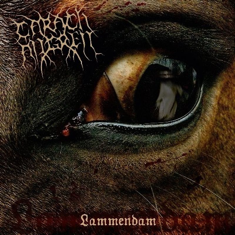 Carach Angren - Lammendam (2013 Reissue)