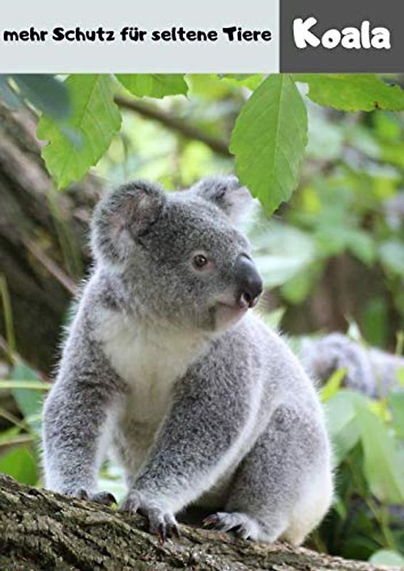 Koala mehr Schutz für seltene Tiere: Journal A4 liniert | Koalas | über 110 Seiten mit Inhaltsverzeichnis | perfekt als Geschenk, Schreibheft oder Tagebuch