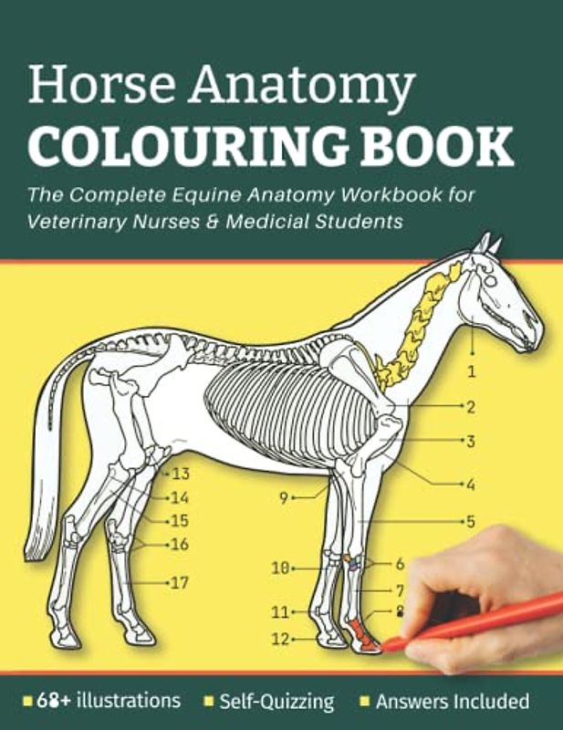 Horse Anatomy Colouring Book - The Complete Equine Anatomy Worbook For Veterinary Nurses and Medical Students: The Perfect Gift for Girls, Horse Lovers, Adults & Equestrians