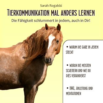 Tierkommunikation mal anders lernen