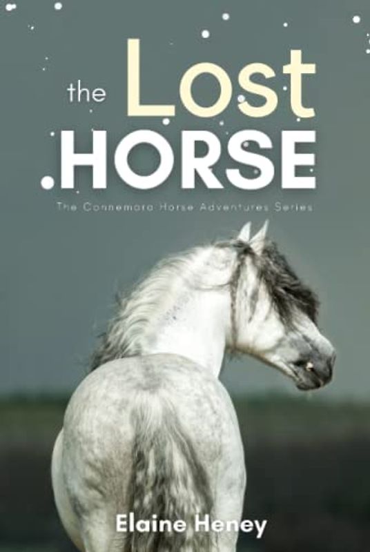 The Lost Horse - Book 6 in the Connemara Horse Adventure Series for Kids | The Perfect Gift for Children age 8-12 (Connemara Adventures, Band 6)