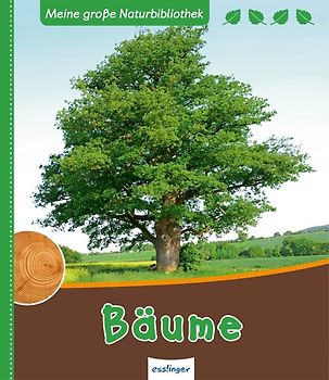 Meine große Naturbibliothek: Bäume