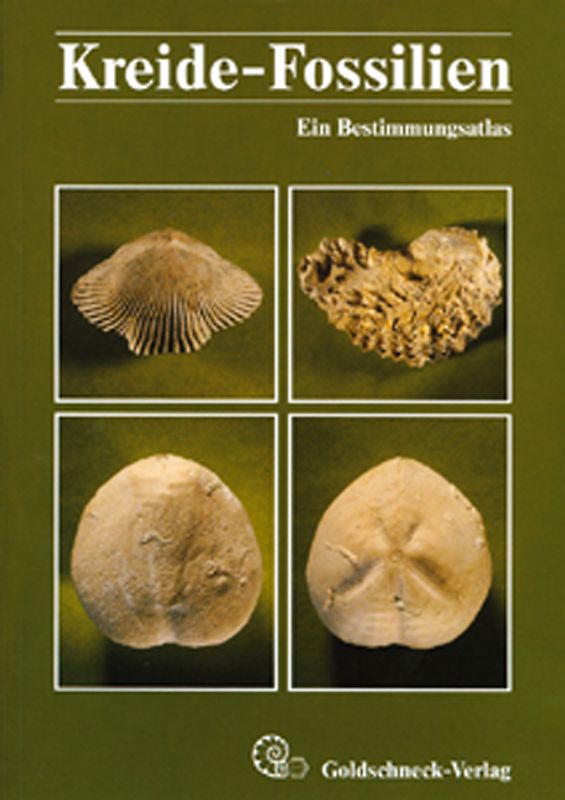 Kreide-Fossilien