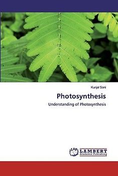 Photosynthesis